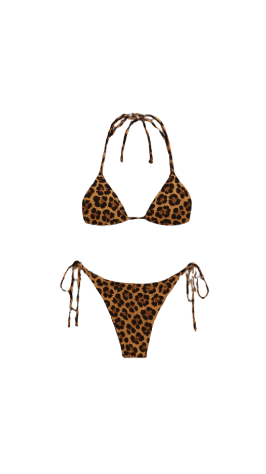 Bingin Wave in Leopard